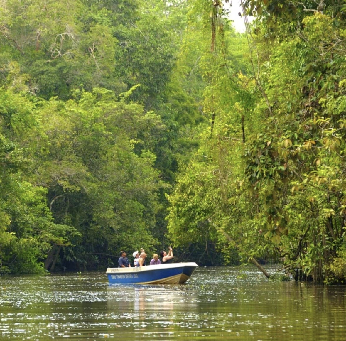 Kawa Kawa River Cruise boat through Borneo jungle mangroves Sabah