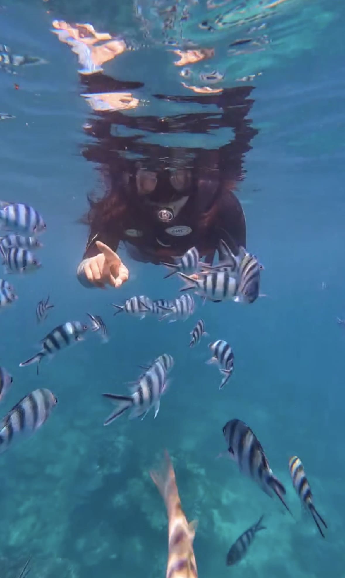 Snorkeling group in turquoise water Mantanani Island day trip Sabah