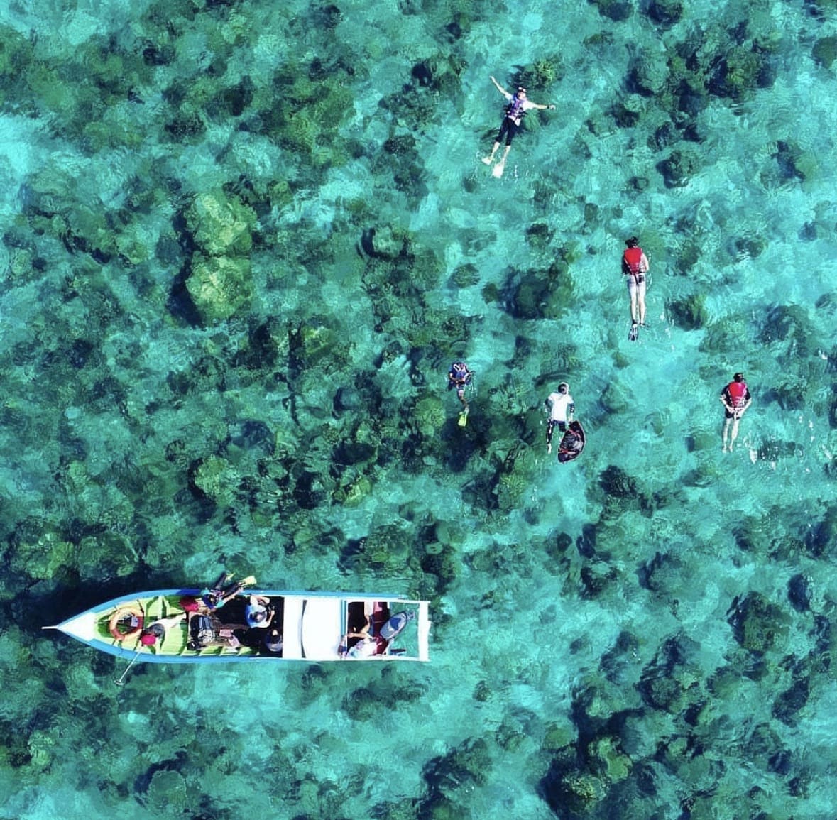 Snorkeling above vibrant coral reef Mantanani Island Sabah Malaysia